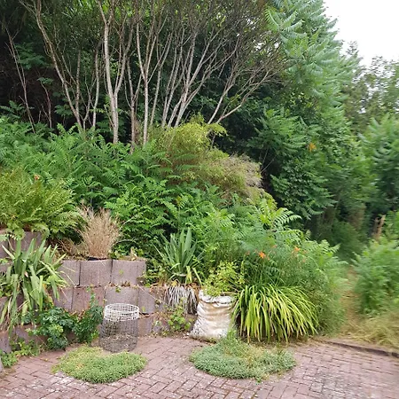 Tatil Evi Jurahaeusle Moehrenbachtal - Sauna&whirlpool Fuer 2-12 Personen *